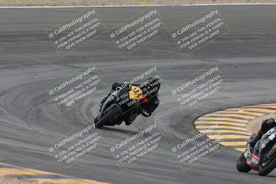 media/Jan-20-2024-CVMA (Sat) [[ddb8bc1f3d]]/Race 2 Amateur Formula Open/